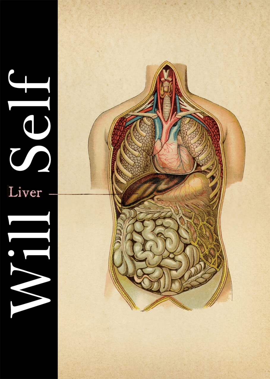 Liver: A Fictional Organ with a Surface Anatomy of Four Lobes Contemporary literature