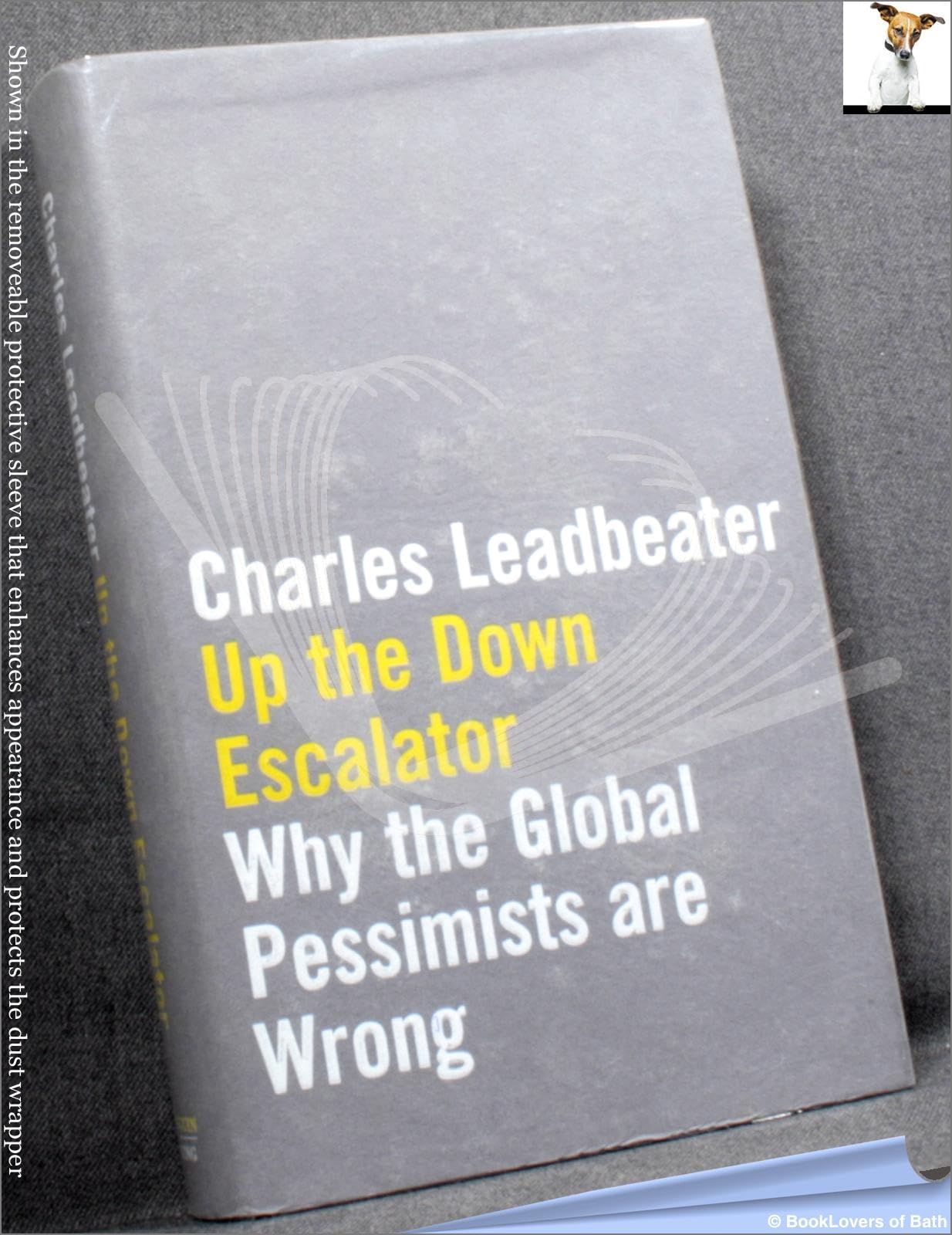 Up the Down Escalator: Why the Global Pessimists are Wrong Philosophy
