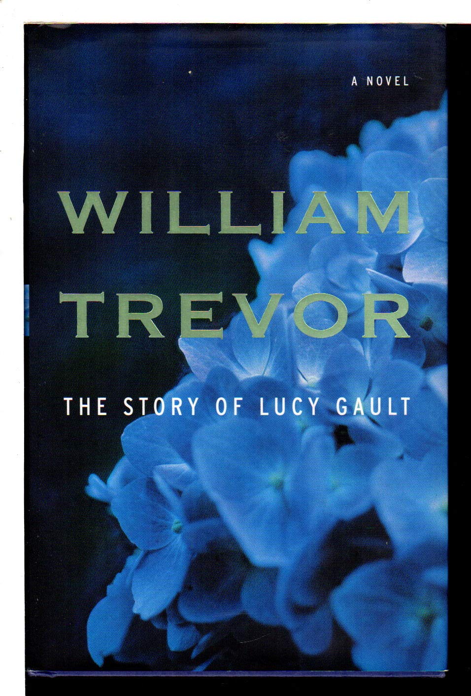 The Story of Lucy Gault Contemporary literature