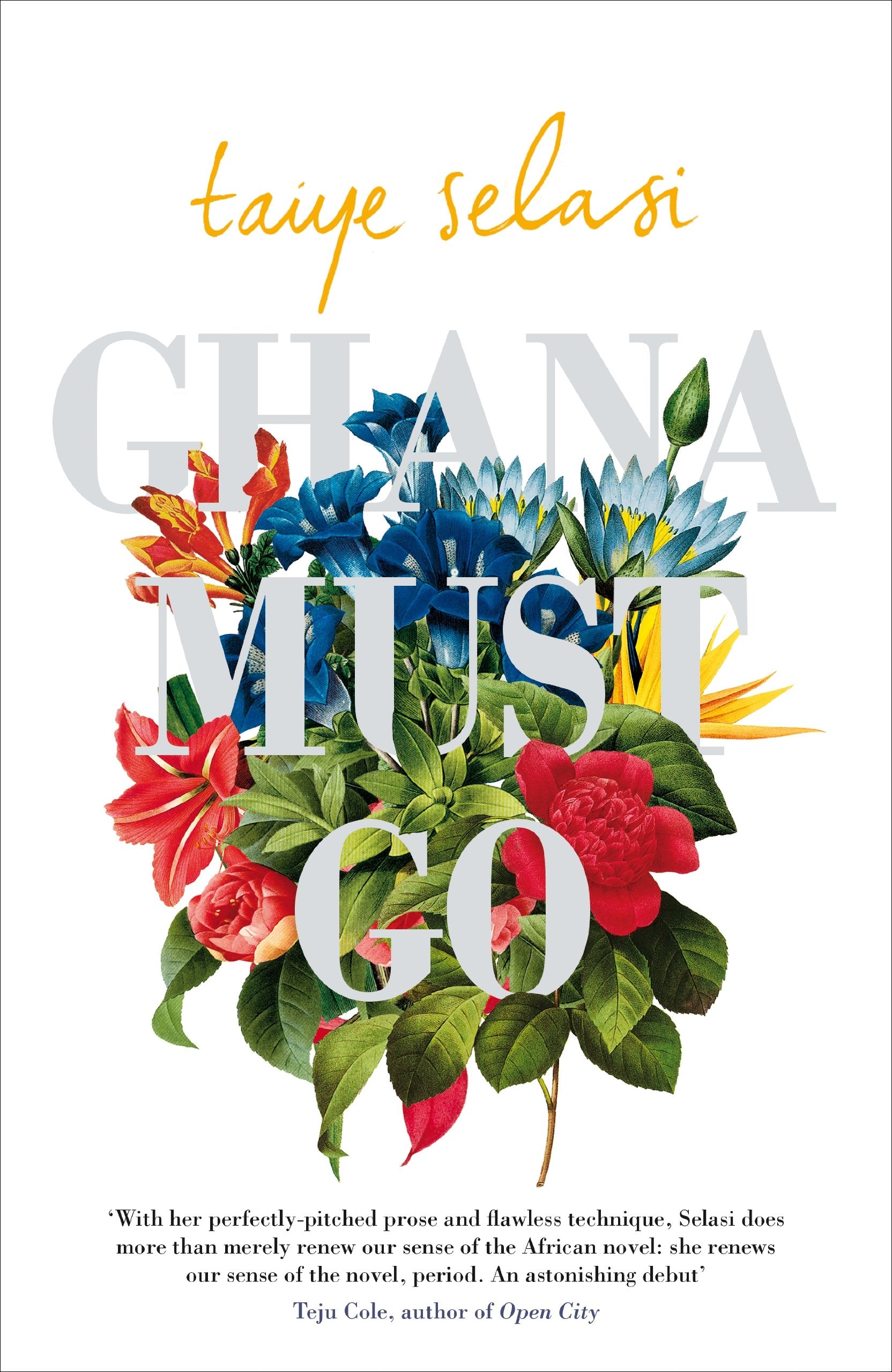Ghana Must Go Contemporary literature