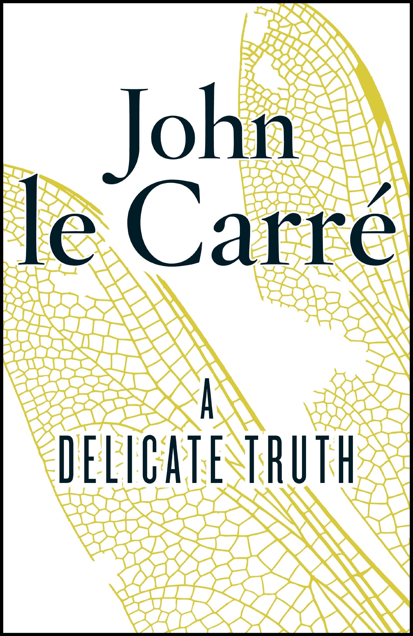 A Delicate Truth Contemporary literature Books