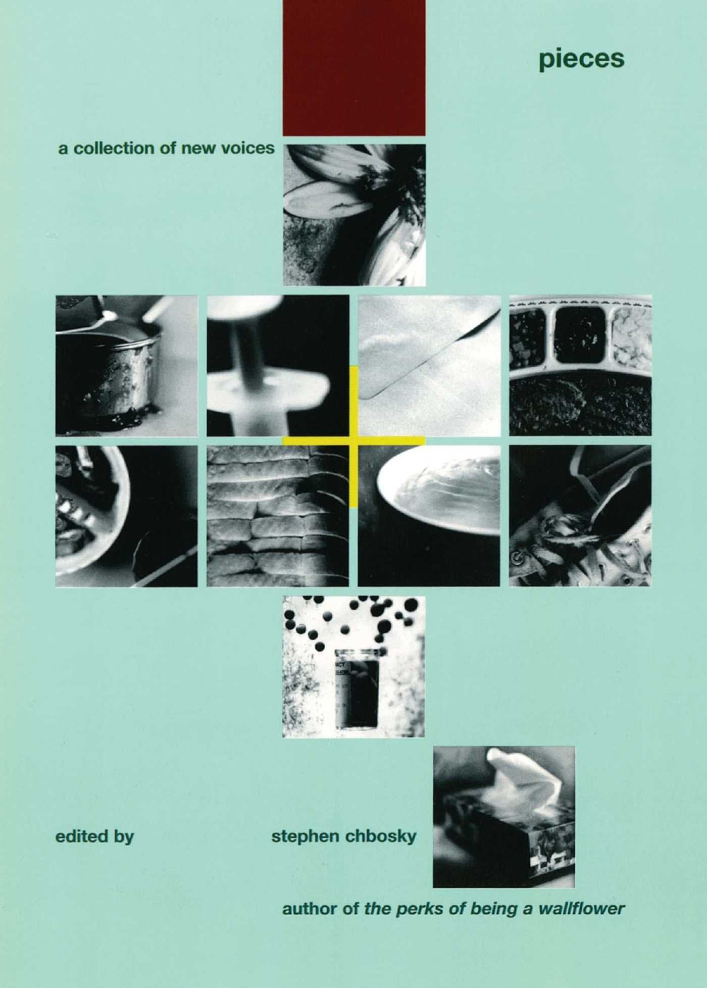 Pieces: A Collection of New Voices Contemporary literature