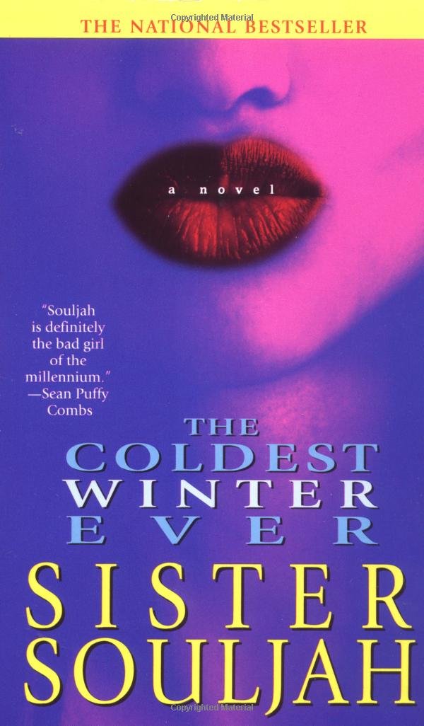 The Coldest Winter Ever: A novel Contemporary literature