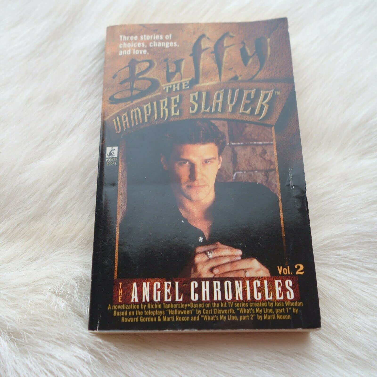 The Angel Chronicles: Volume 2 (Buffy the Vampire Slayer S.) Horror & Mystery
