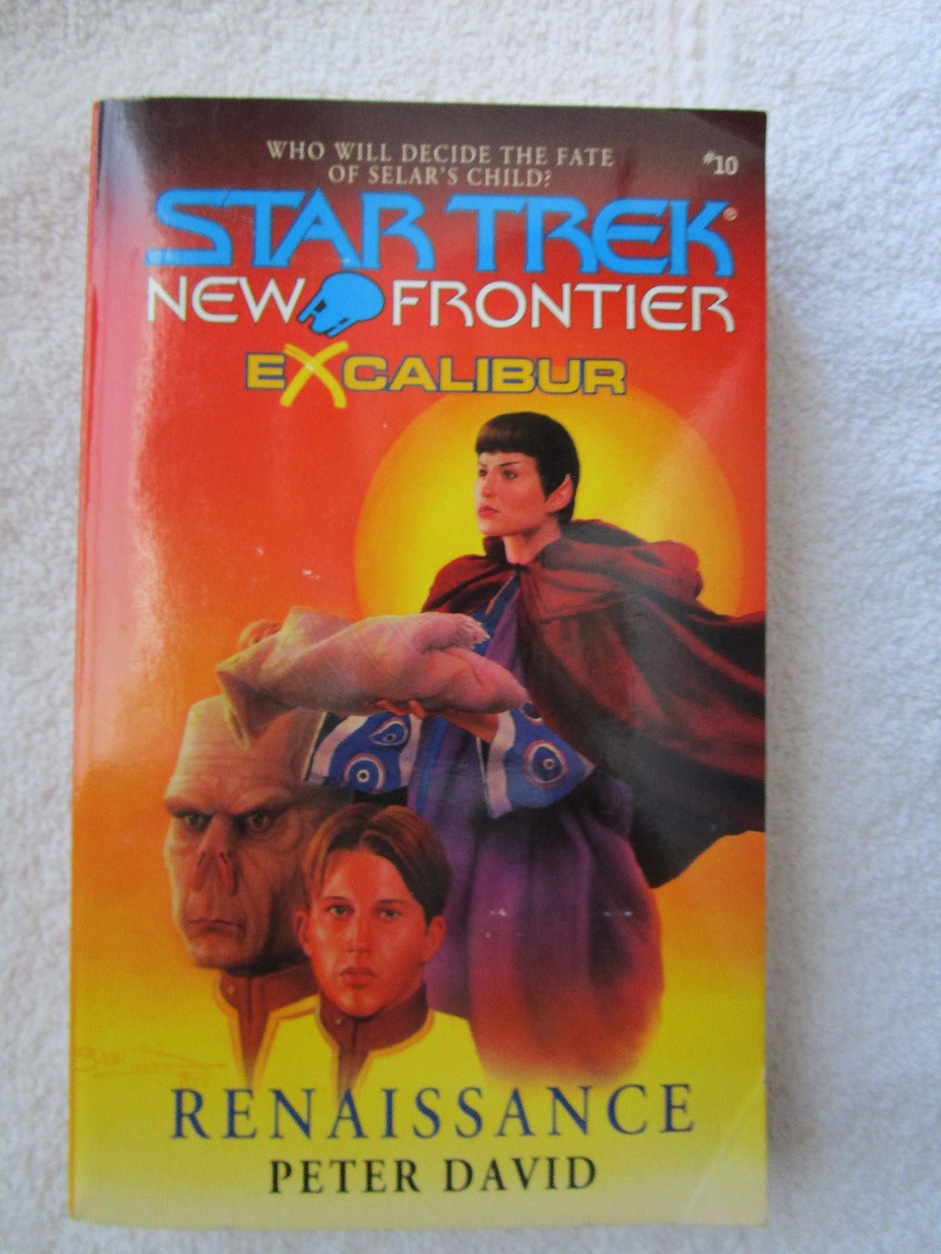Excalibur Book Two: Renaissance (Star Trek: New Frontier - Excalibur 2, Band 10) Action & Adventure