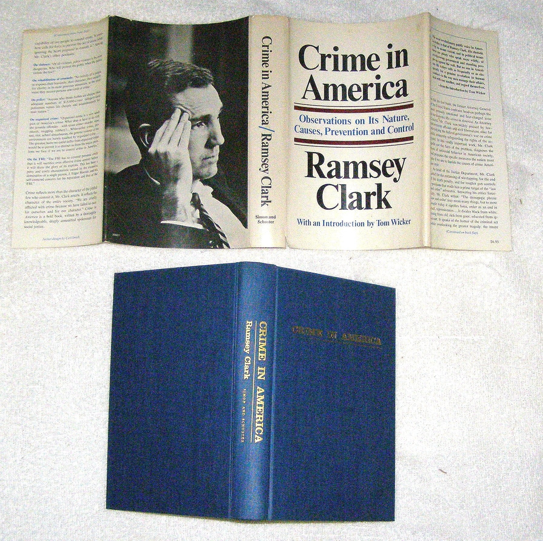 Crime in America: Observations on its Nature, Causes, Prevention and Control Books