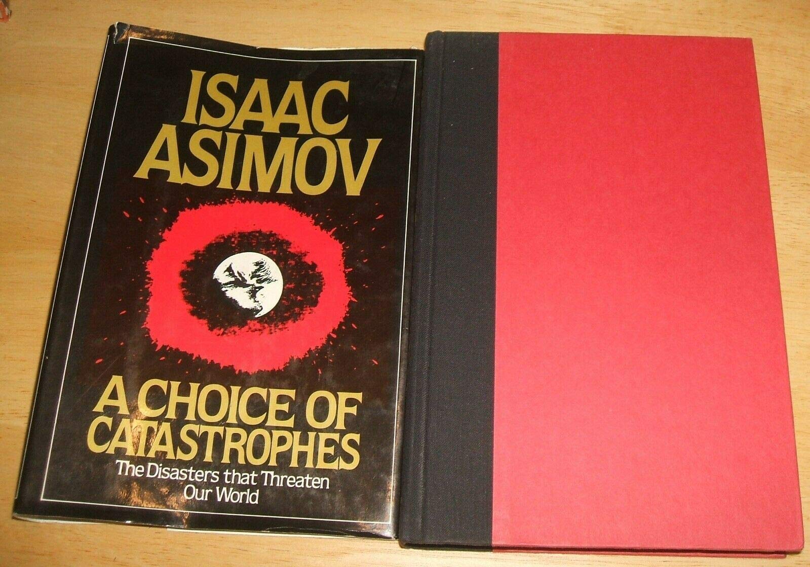 A Choice of Catastrophes: The Disasters That Threatens Our World book