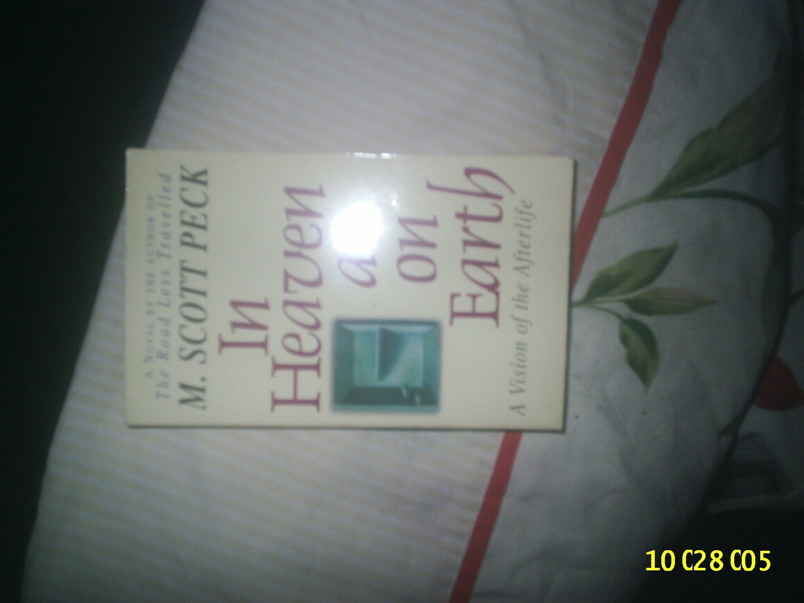 In Heaven as on Earth: A Vision of the Afterlife Contemporary literature