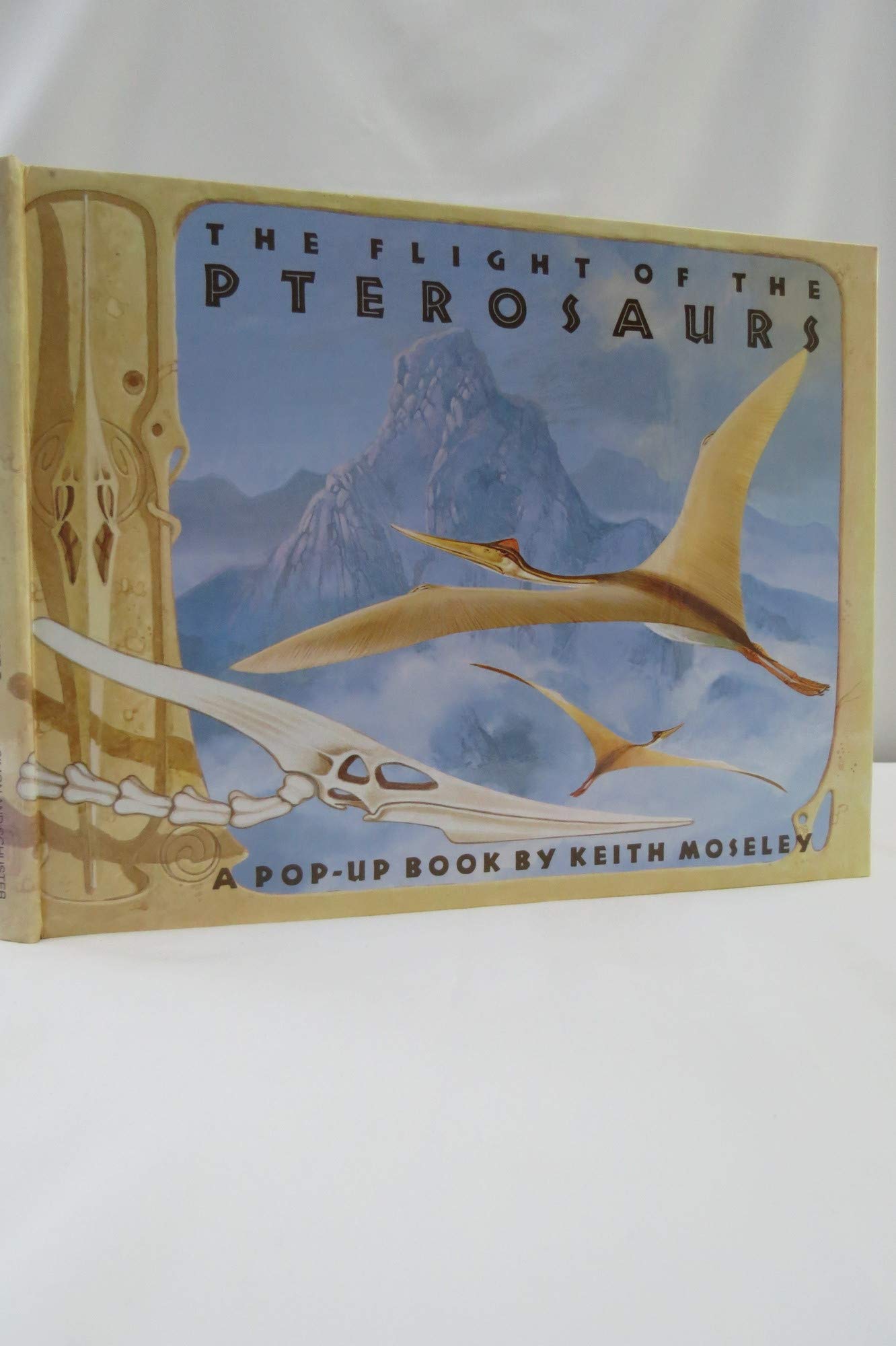 Product Image: The Flight of the Pterosaurs