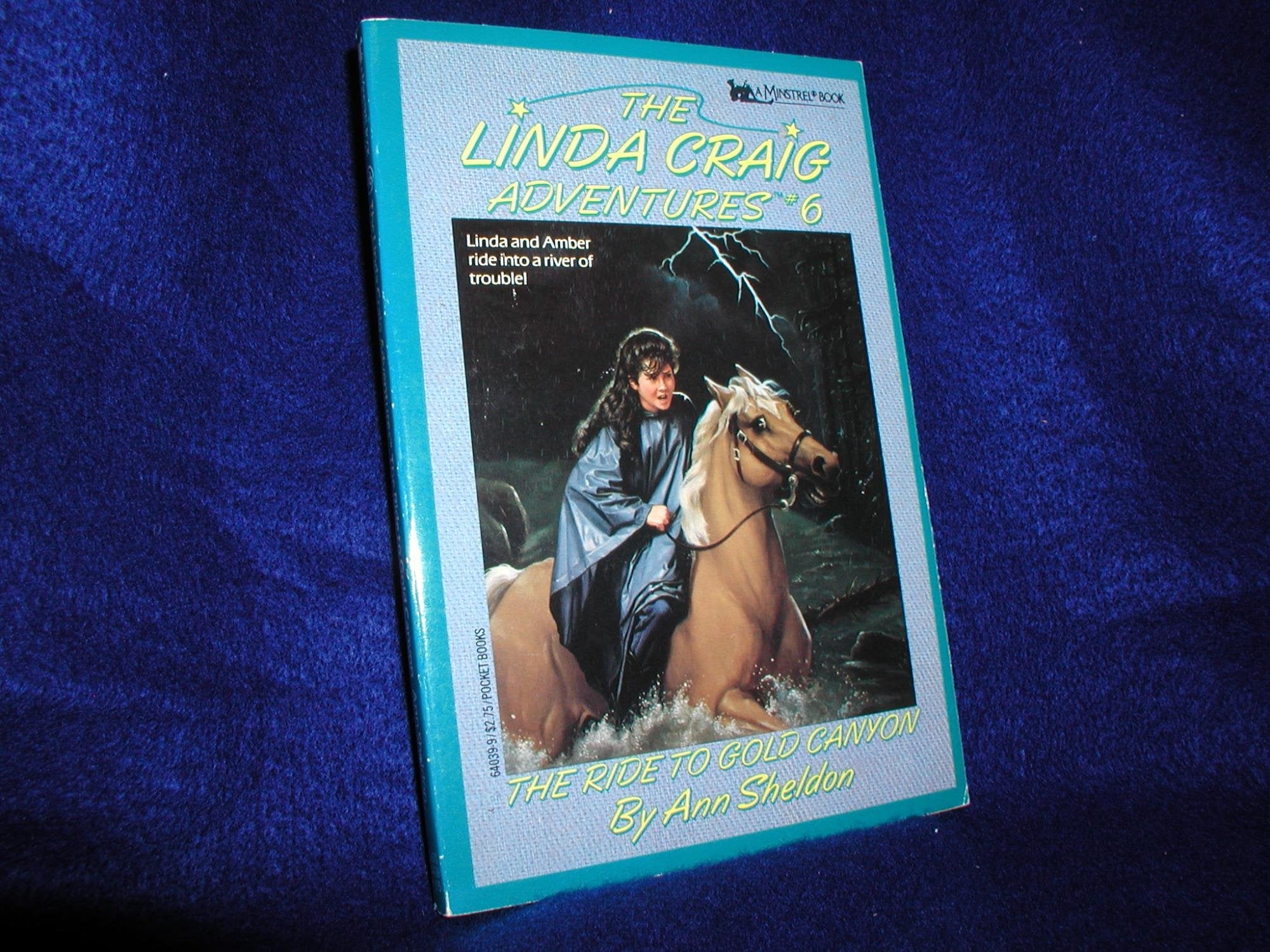 The Ride to Gold Canyon (Linda Craig Adventures, Band 6) Novels & Short Stories