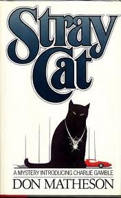 Stray Cat Detective & CSI