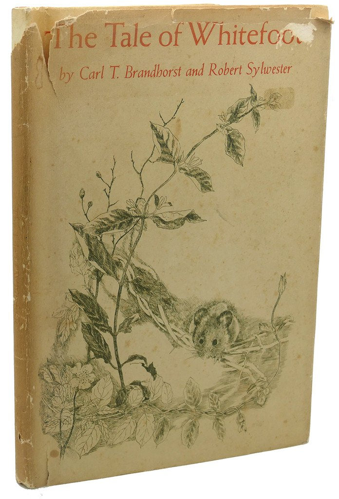The tale of Whitefoot Books