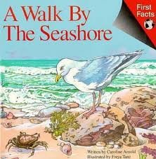 A Walk by the Seashore (First Facts Series) Books