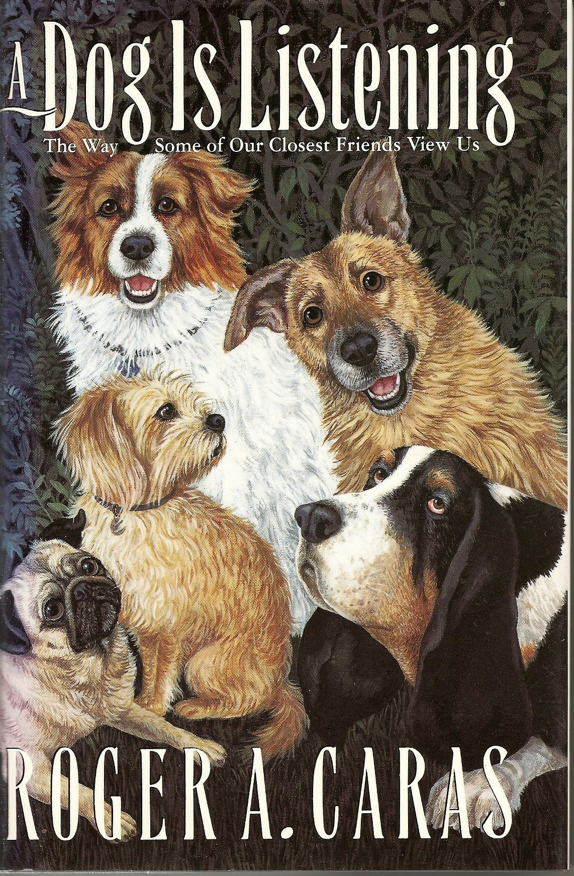 A Dog Is Listening: The Way Some of Our Closest Friends View Us Pets