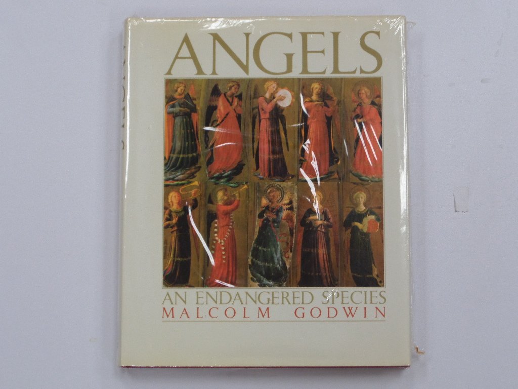 Angels: An Endangered Species Philosophy