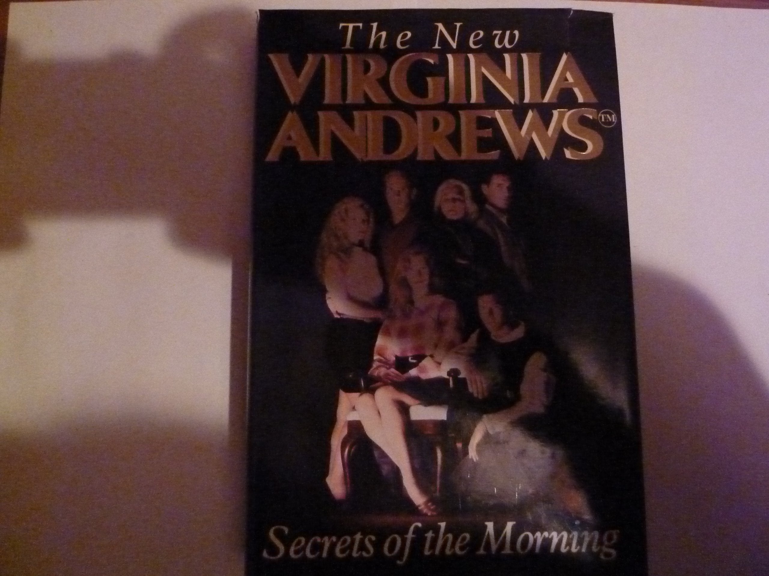 Secrets of the Morning (The new Virginia Andrews) Contemporary literature