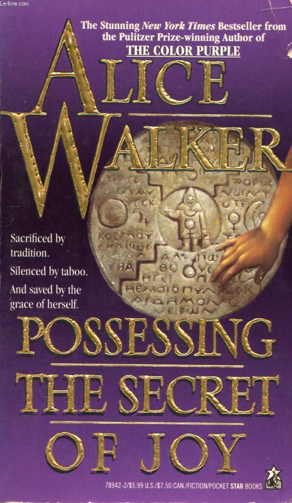 Possessing the Secret of Joy Contemporary literature