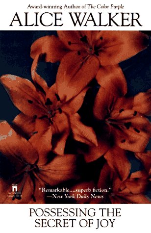 Possessing the Secret of Joy Contemporary literature