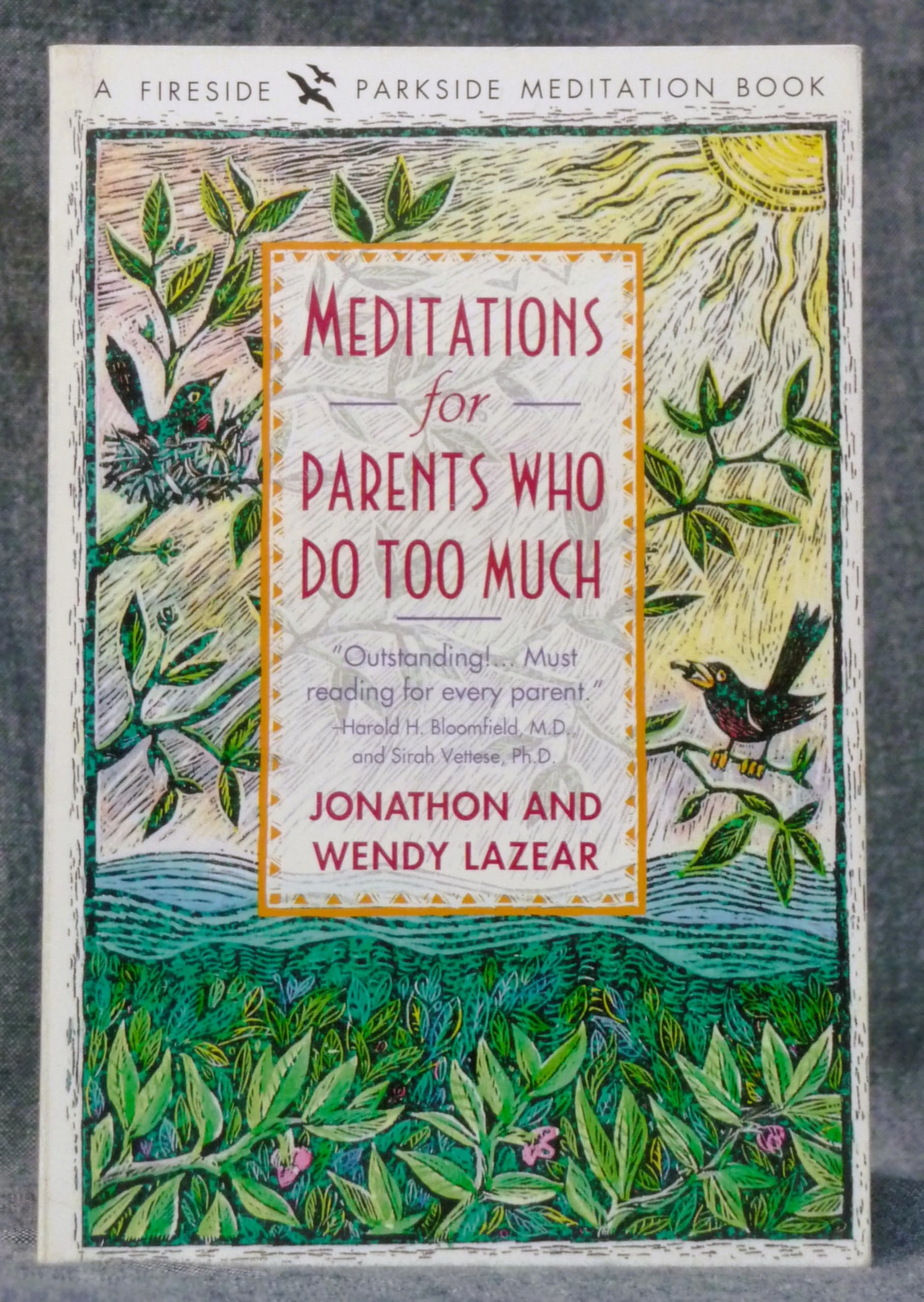 Meditations for Parents Who Do Too Much (A Fireside/Parkside Meditation Book) Social Sciences