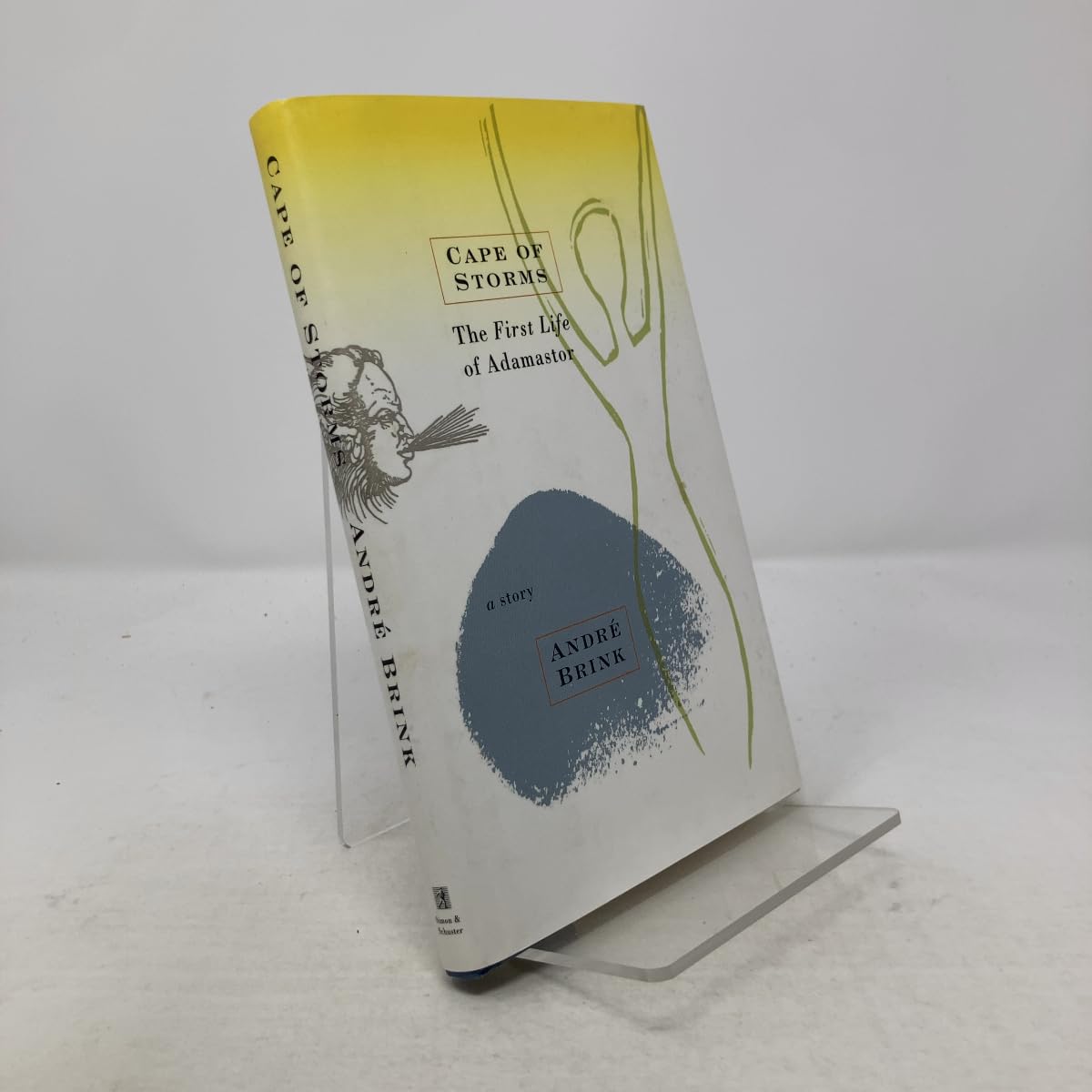 Cape of Storms: The First Life of Adamastor/a Story book