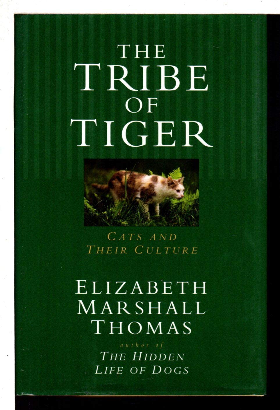 The Tribe of Tiger: Cats and Their Culture Mathematics