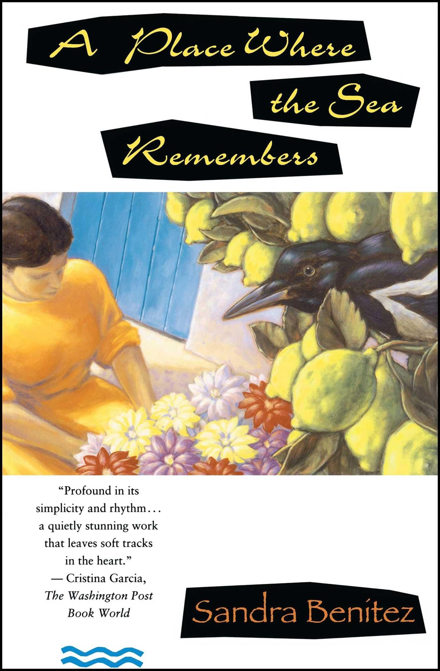 Place Where the Sea Remembers: A Novel (Scribner's Paperback Fiction) Contemporary literature
