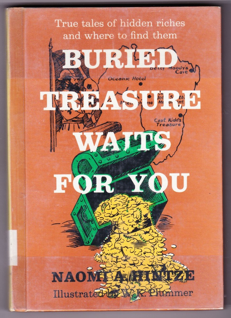 Buried Treasure Waits for You Books