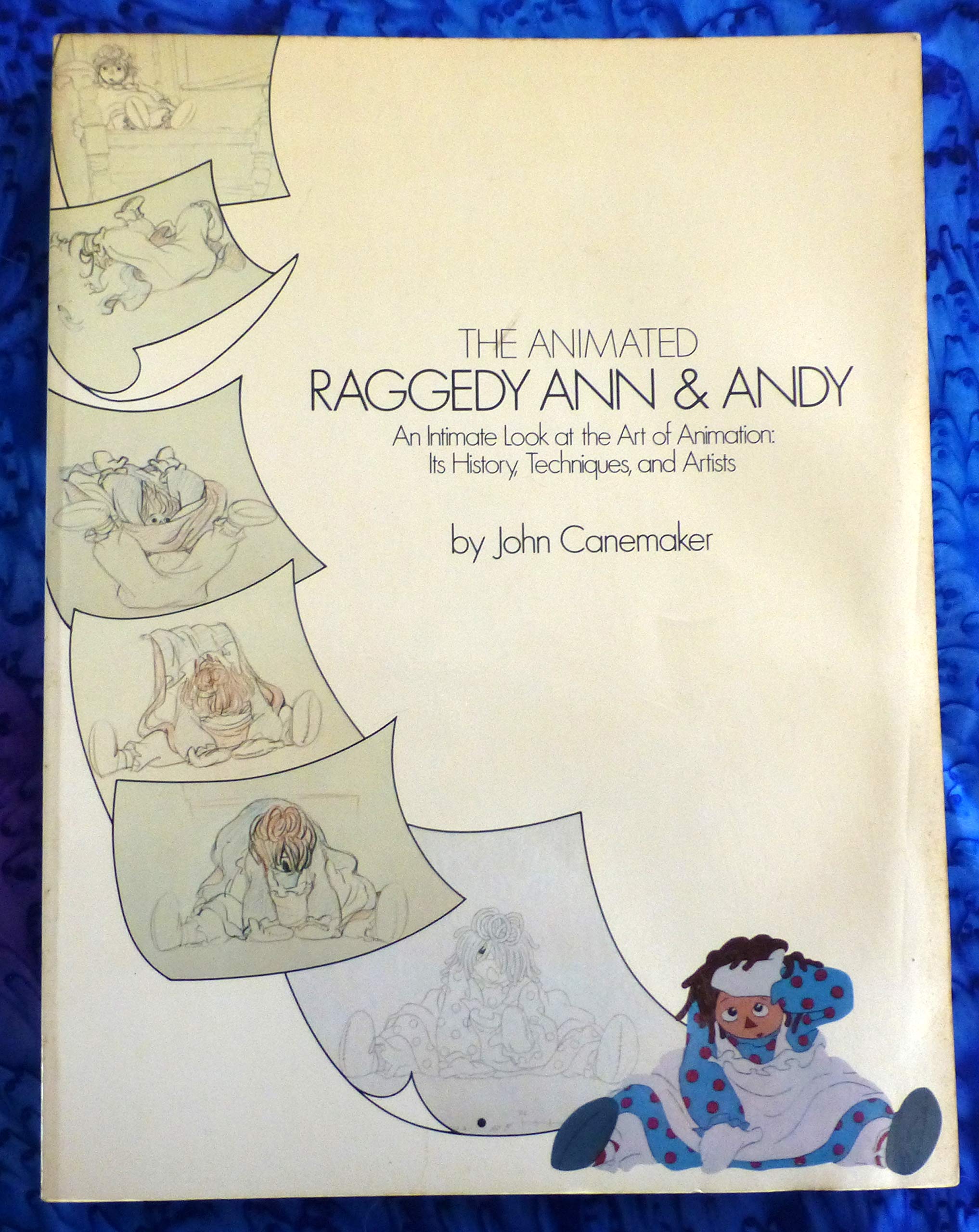 Animated Raggedy Ann and Andy : The Story Behind t Books