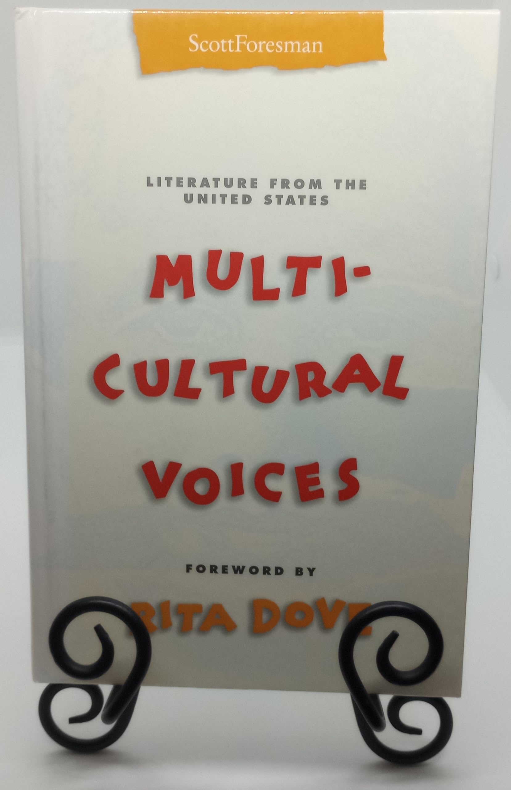 Multicultural Voices: Literature from the United States book