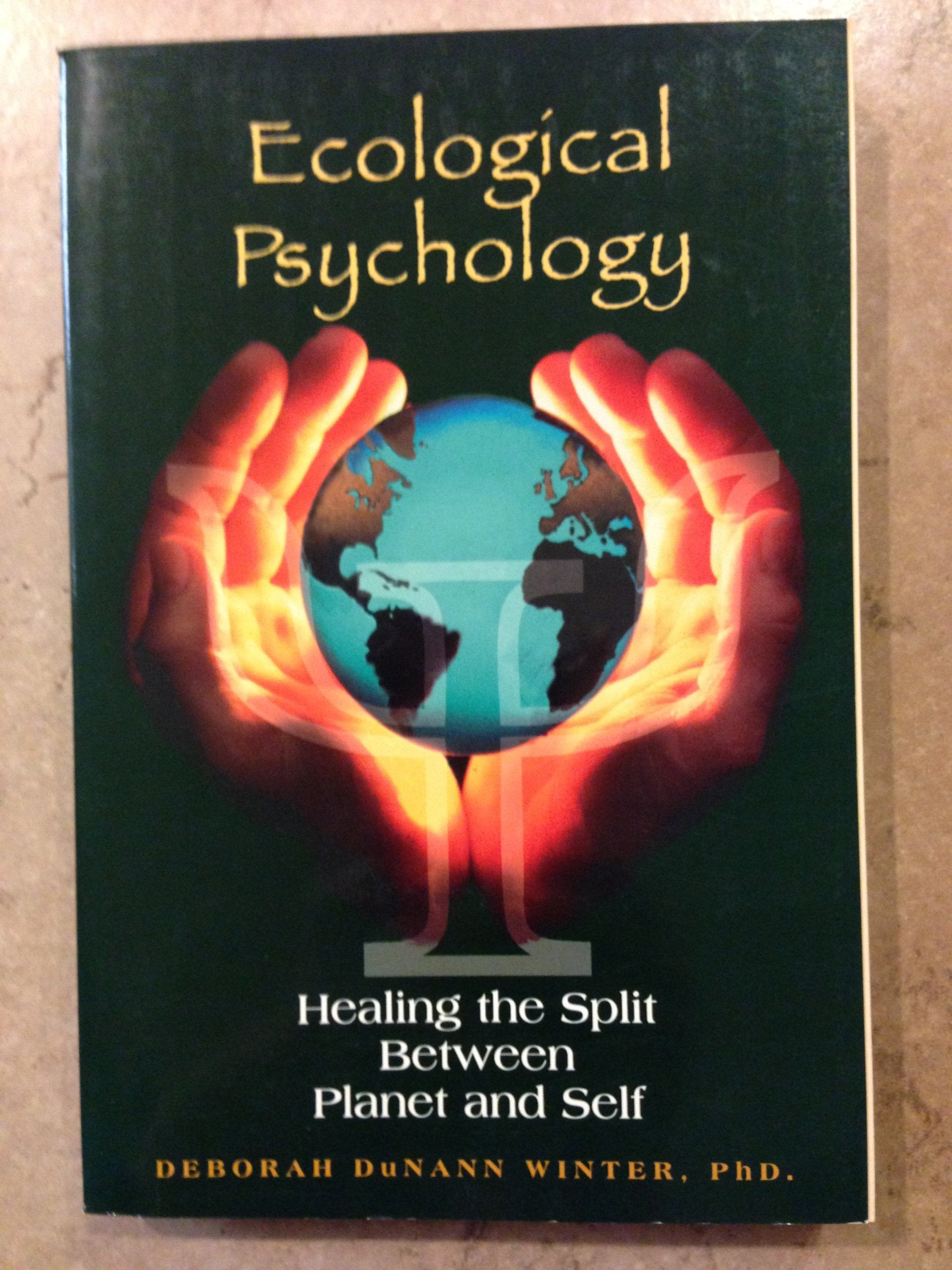 Ecological Psychology: Healing the Split Between Planet and Self: Using Psychology to Build a Sustainable World Mathematics