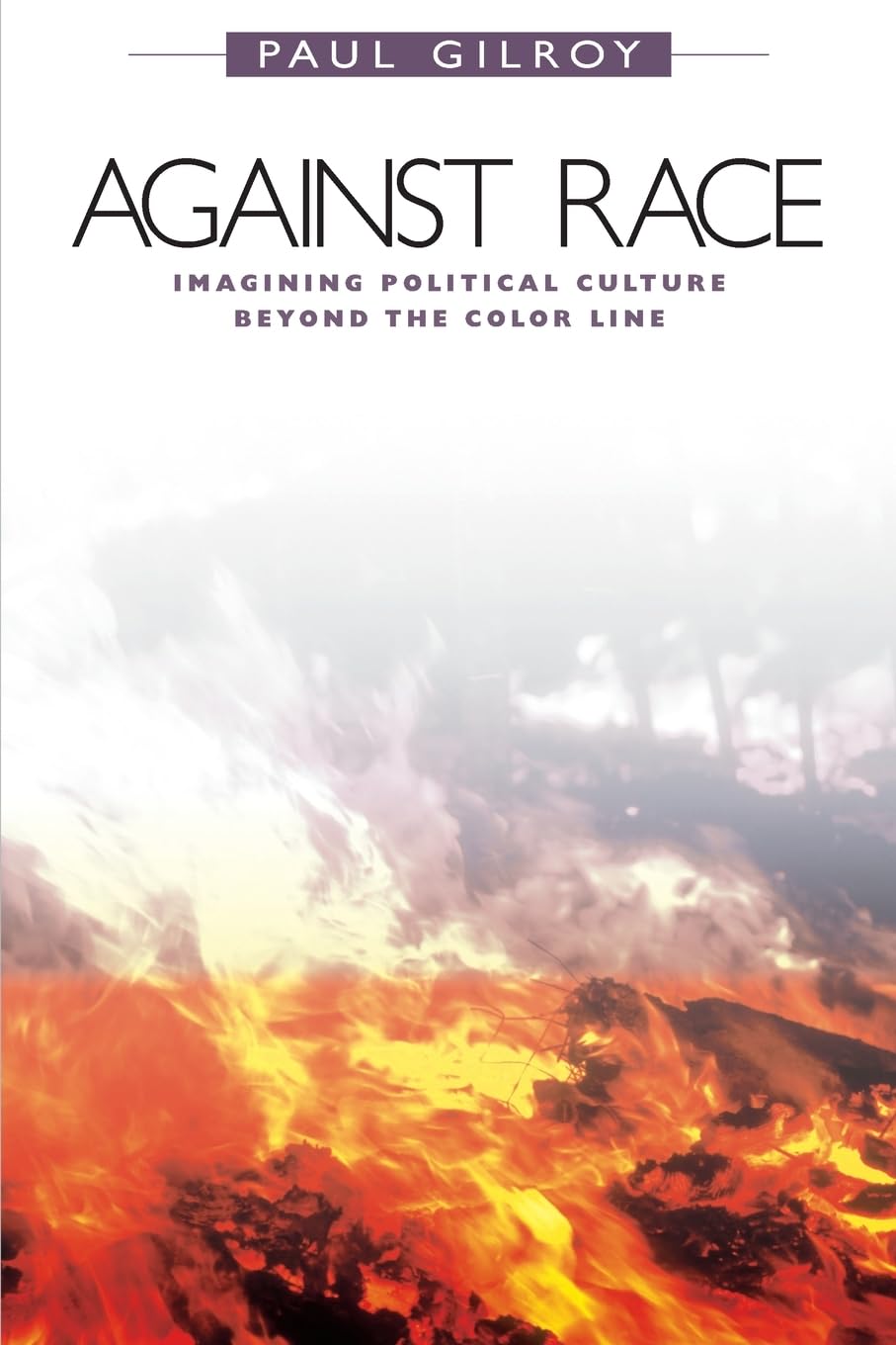 Against Race: Imagining Political Culture Beyond the Color Line Books