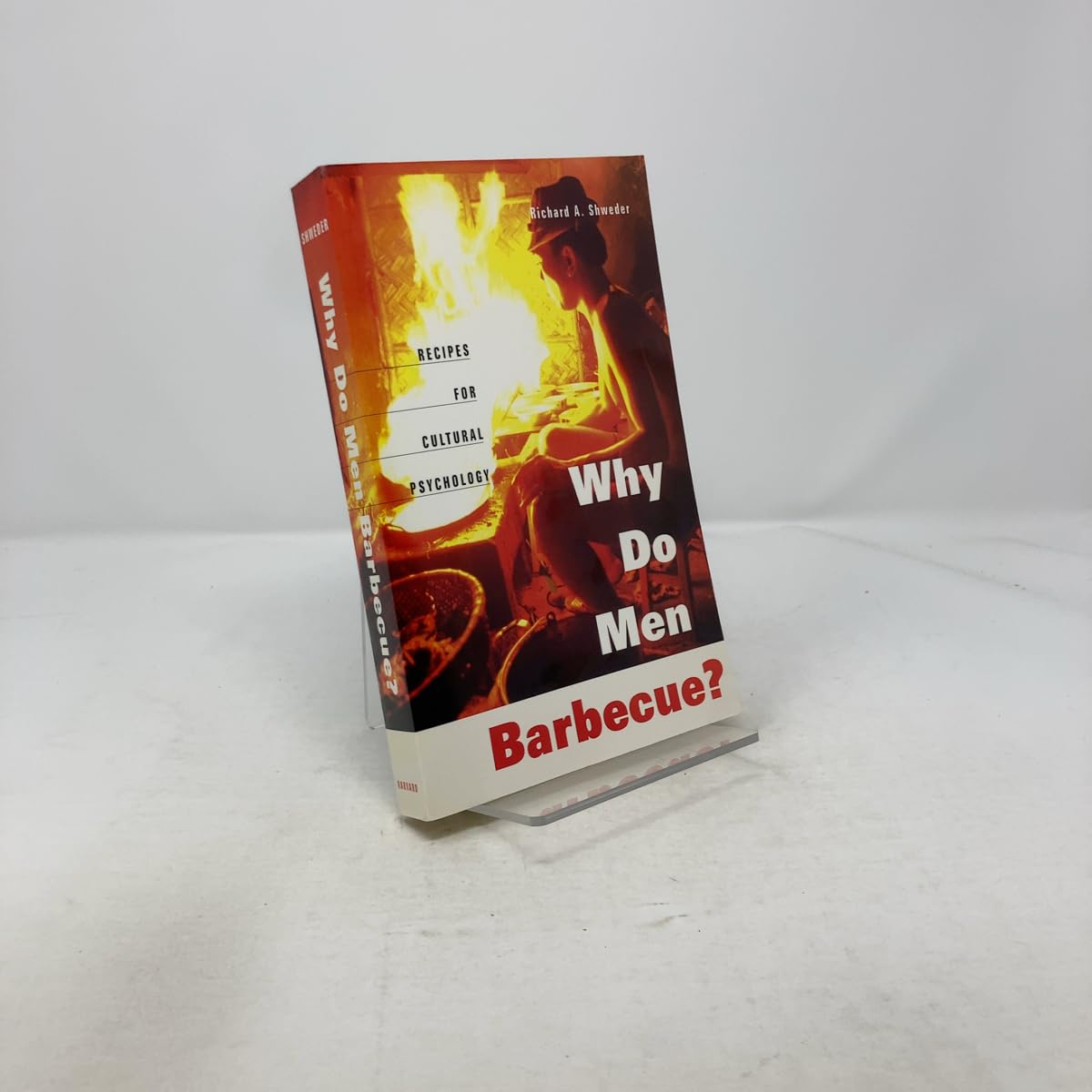 Why Do Men Barbecue?: Recipes for Cultural Psychology General education