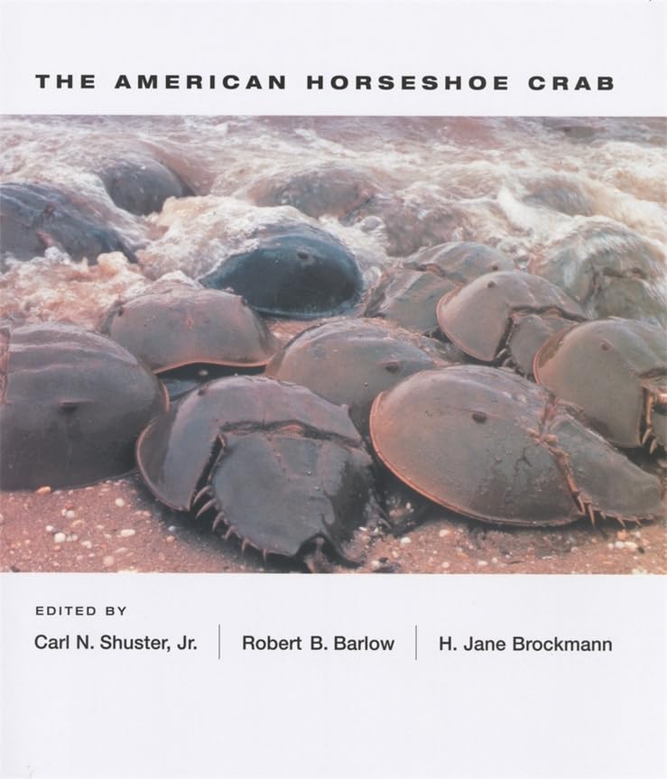 The American Horseshoe Crab Mathematics