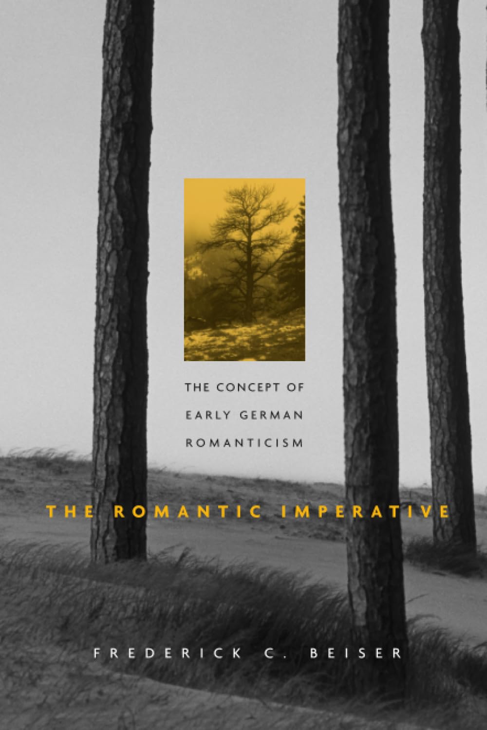 The Romantic Imperative: The Concept of Early German Romanticism Philosophy