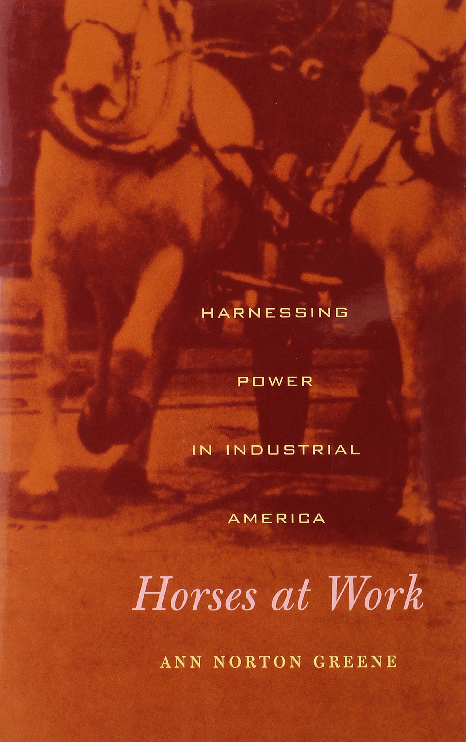 Horses at Work: Harnessing Power in Industrial America Business, Finance & Career