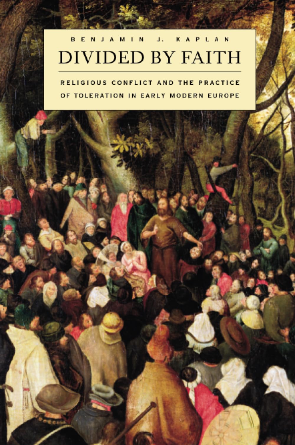 Divided by Faith: Religious Conflict and the Practice of Toleration in Early Modern Europe book
