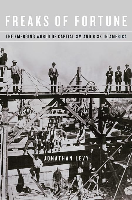 Freaks of Fortune: The Emerging World of Capitalism and Risk in America Business, Finance & Career