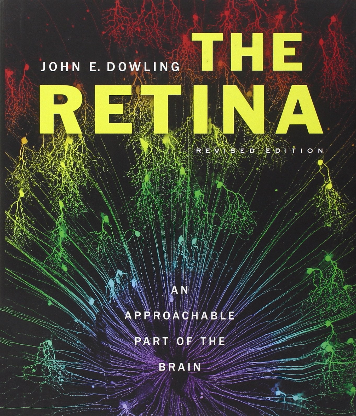 The Retina: An Approachable Part of the Brain, Revised Edition Medicine