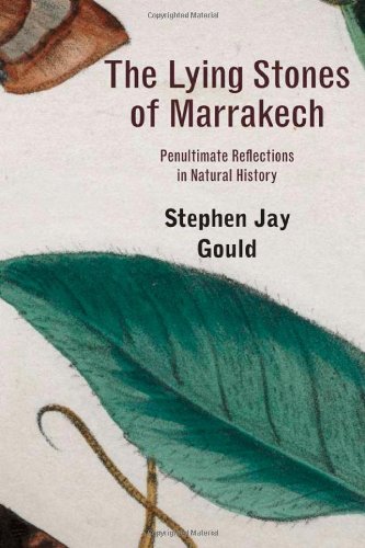 The Lying Stones of Marrakech: Penultimate Reflections in Natural History Learning & Reference