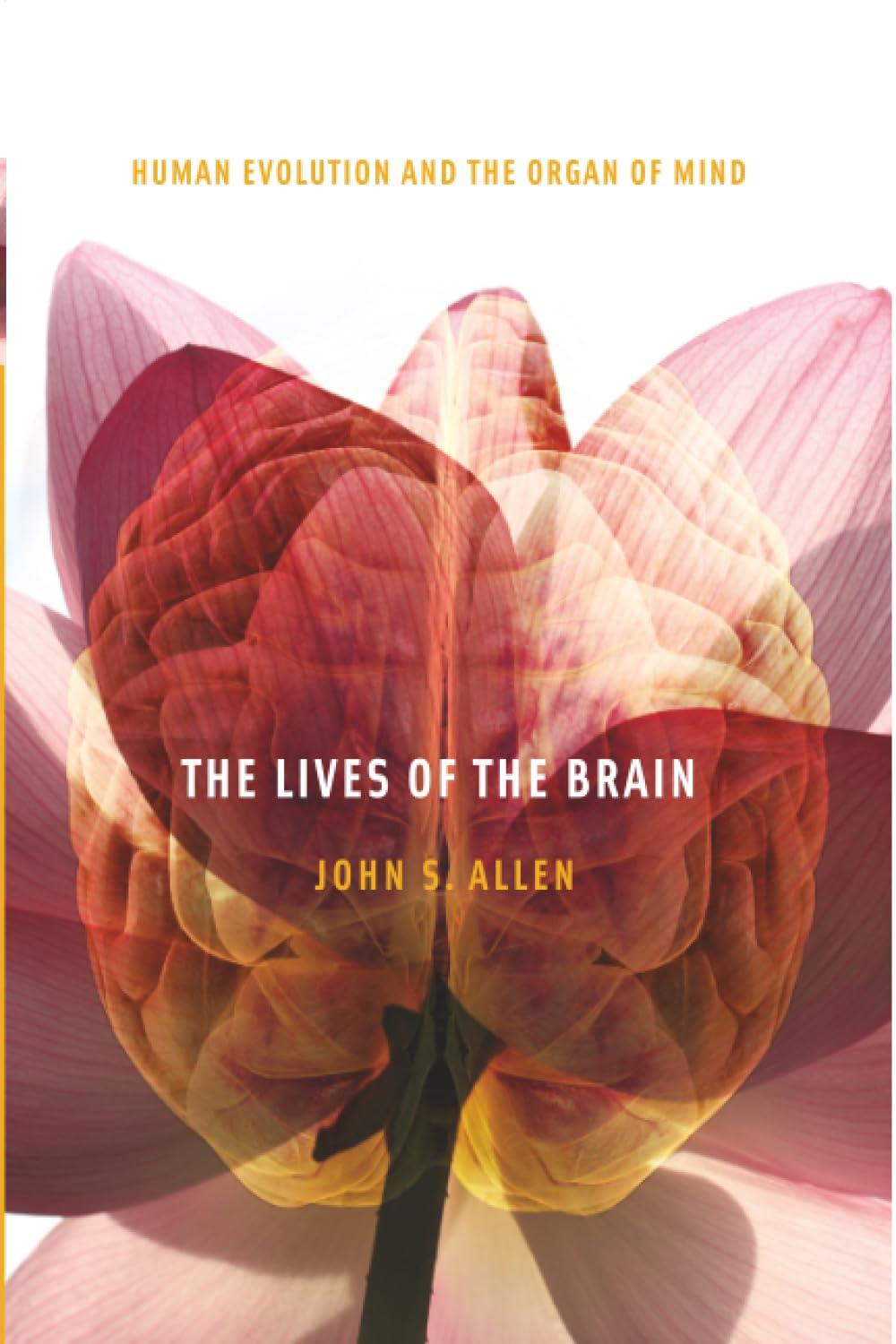 The Lives of the Brain: Human Evolution and the Organ of Mind Medicine