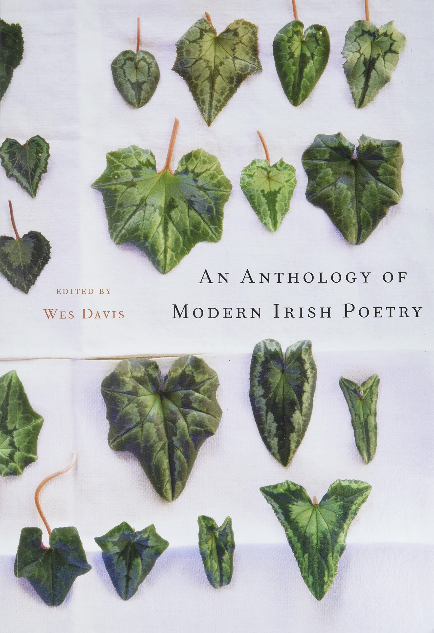 An Anthology of Modern Irish Poetry Poetry