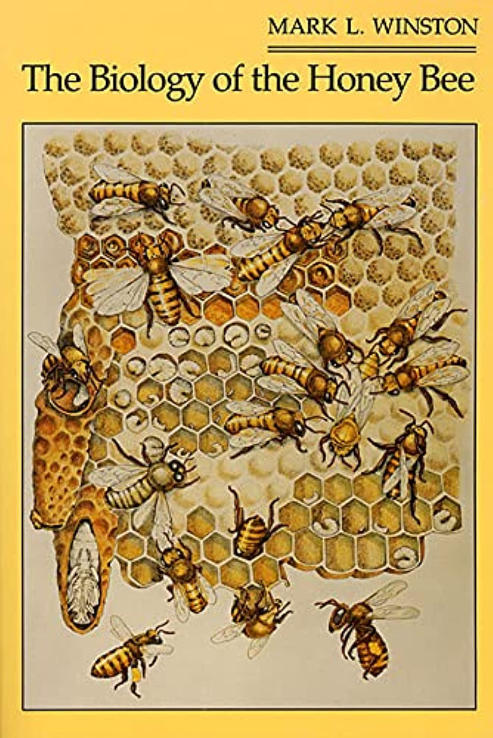 The Biology of the Honey Bee Natural Sciences