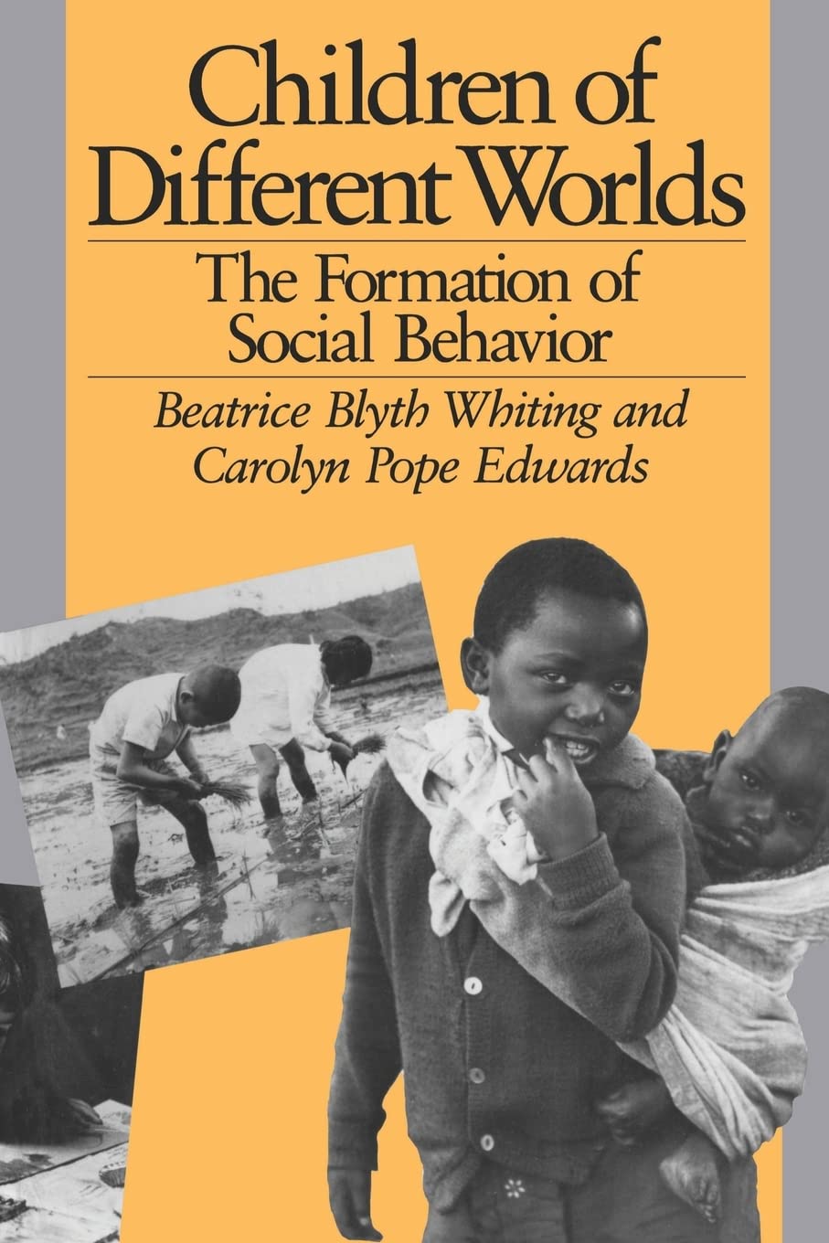 Children of Different Worlds: The Formation of Social Behavior book