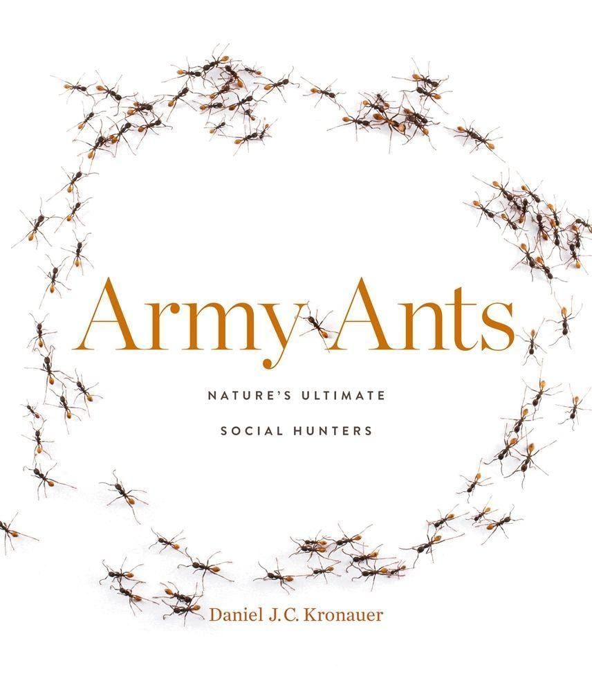 Army Ants: Nature’s Ultimate Social Hunters Mathematics