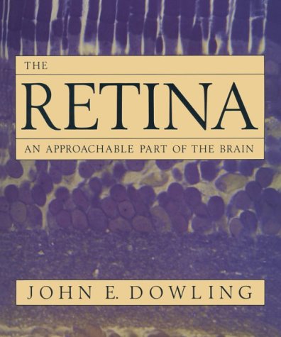 The Retina: An Approachable Part of the Brain Medicine