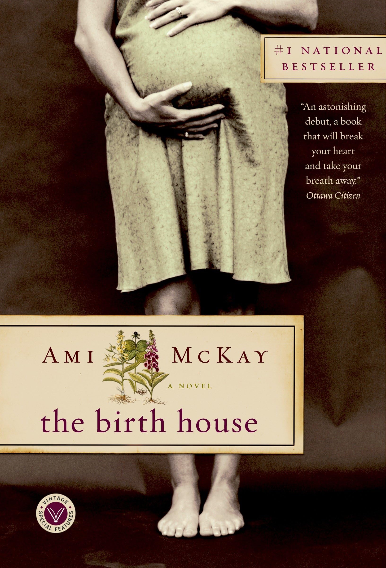 Product Image: The Birth House