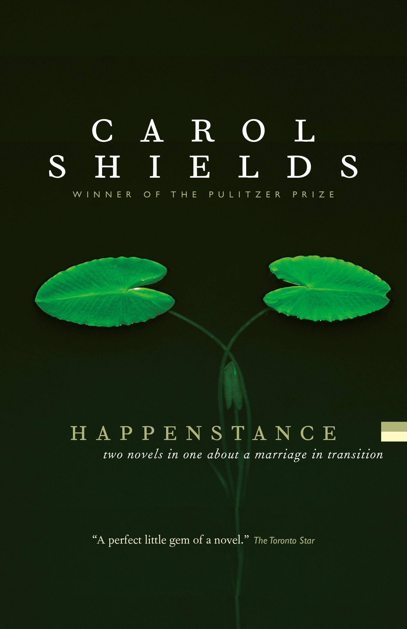 Happenstance: The Wife's Story Contemporary literature
