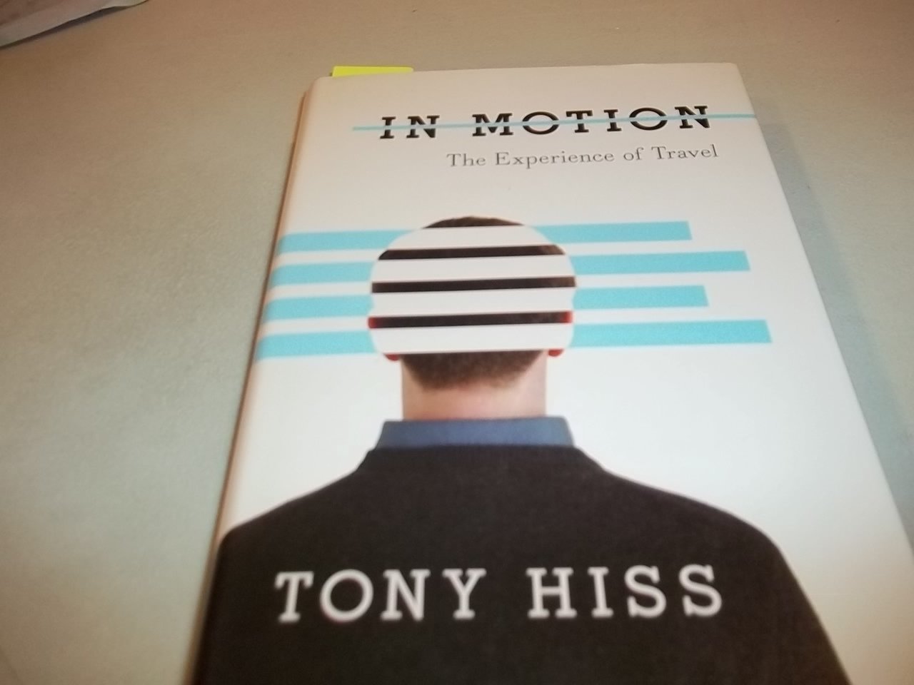 In Motion: The Experience of Travel book