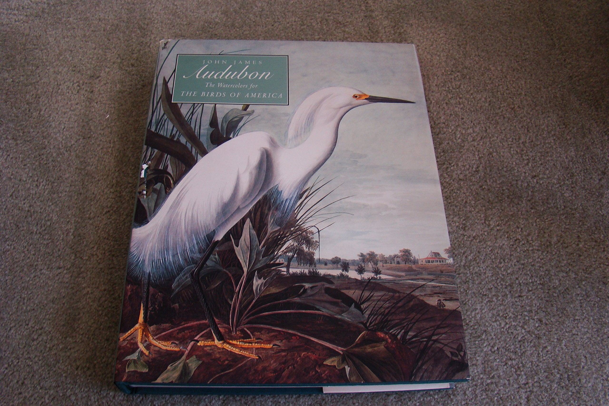 John James Audubon: The Watercolors for the Birds of America Film, Art & Culture