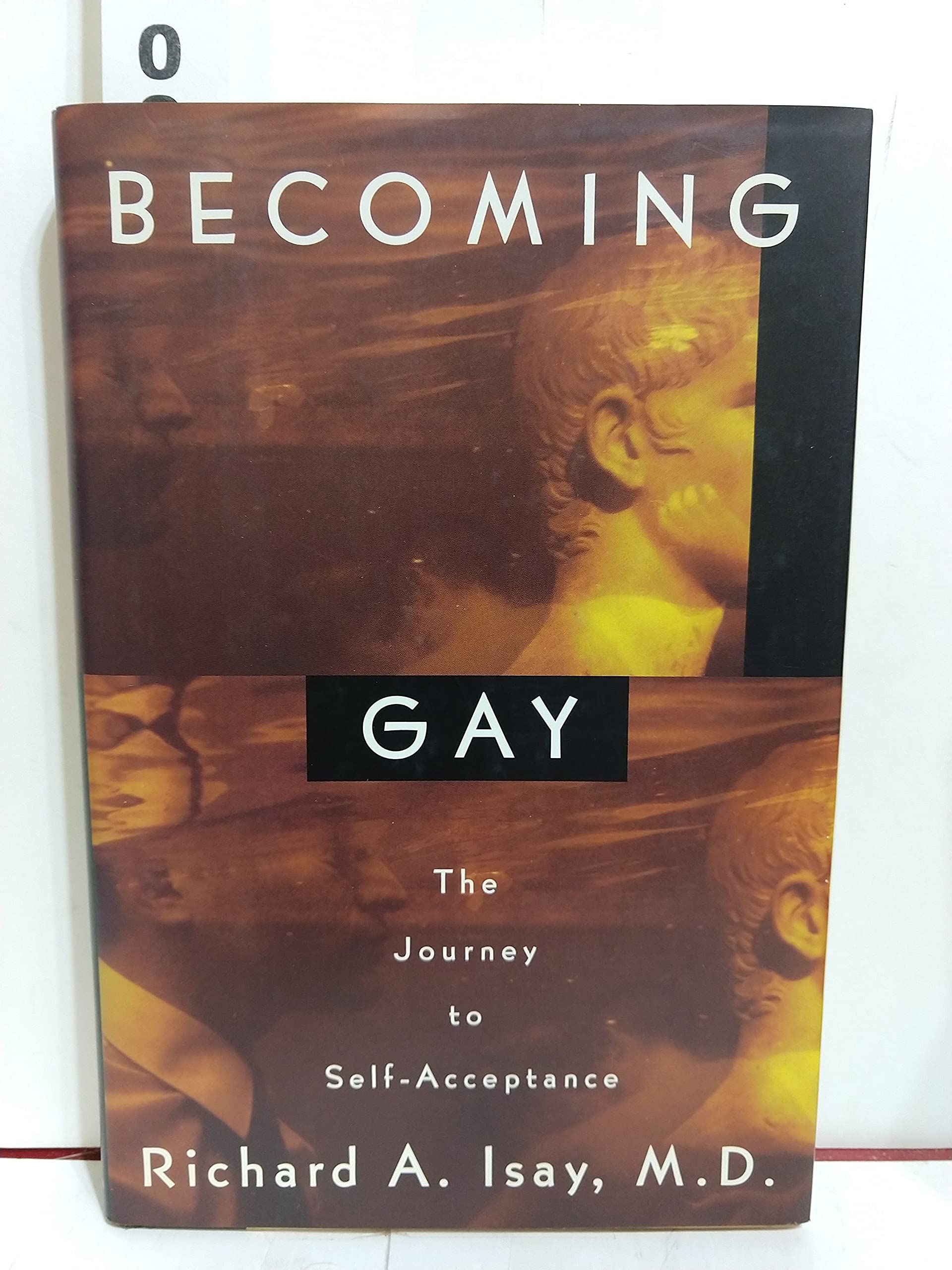 Becoming Gay: The Journey to Self-Acceptance LGBTQ+